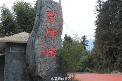 碧峰峡5A景区标识系统